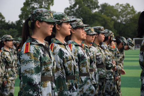 图片5