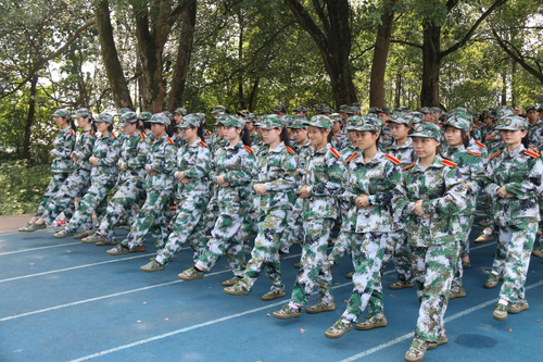 图片8