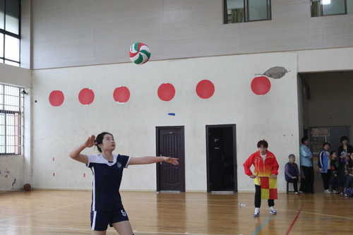 图片2 图片2