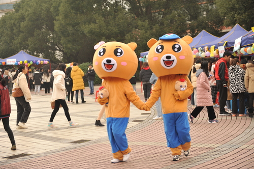 DSC_8485 DSC_8485