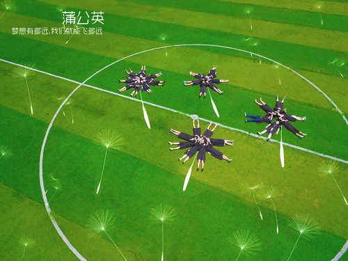 DJI_0032副本m